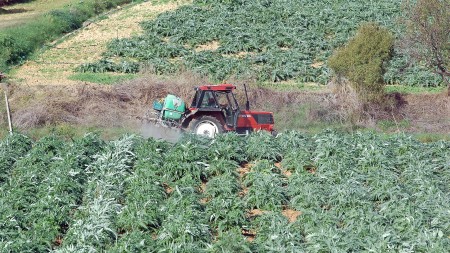 RAS. Agiudus po is impresas agrìculas chi nascint a nou -“Prèmiu de primu insediamentu”