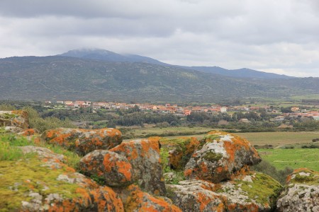 Biddanoa Truschedu. Afidau s’apaltu po fai is traballus aintru de bidda